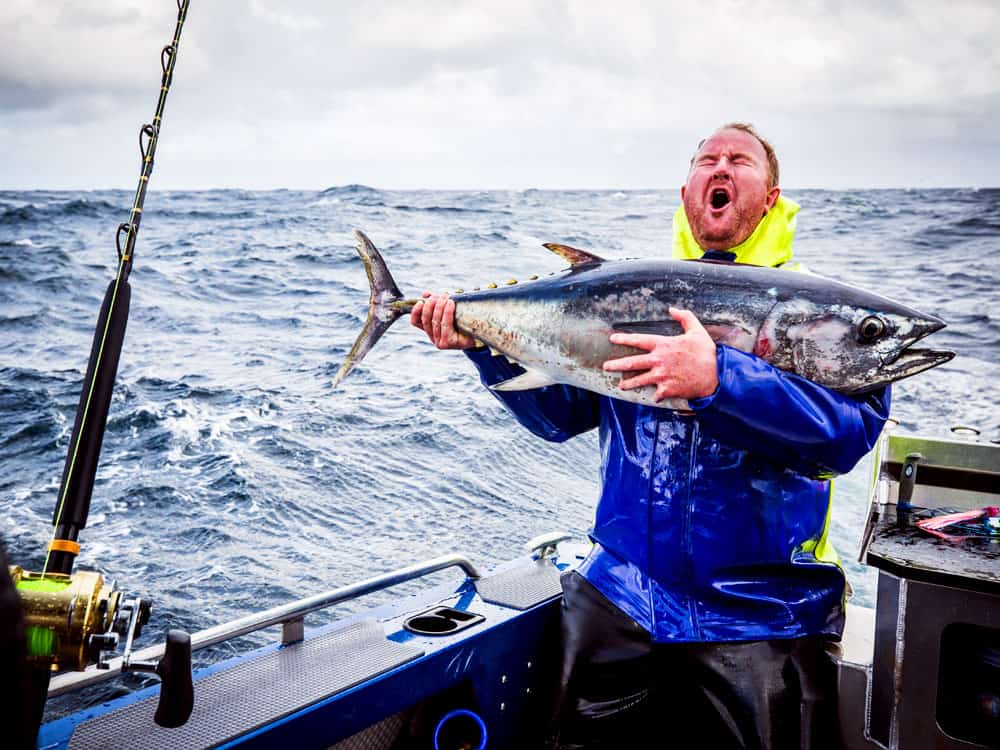 About Us big fish